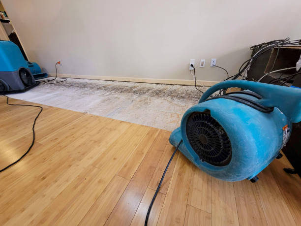 Professional Burst Pipe Water Damage technician working in Middlefield, OH